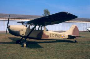 L 19